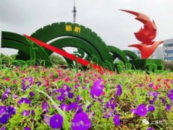 上海松江这里的花坛、花境“上新”啦!特色景观升级!